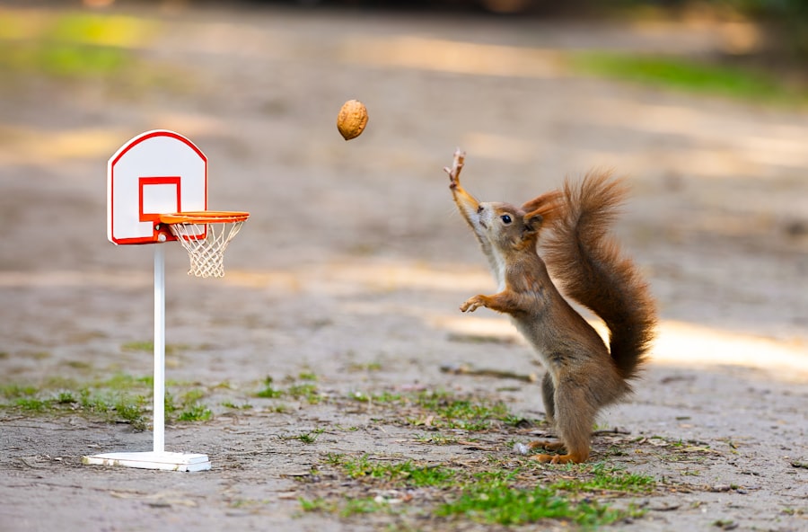 sports betting dime nba